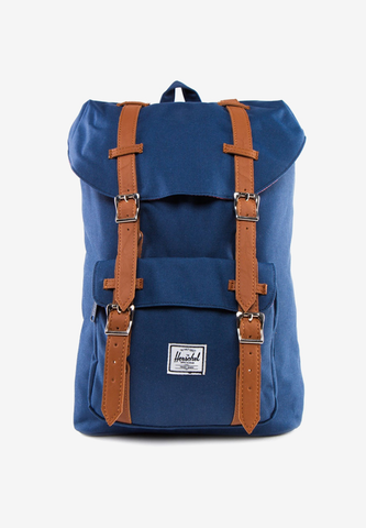 Donec sit amet vestibulum